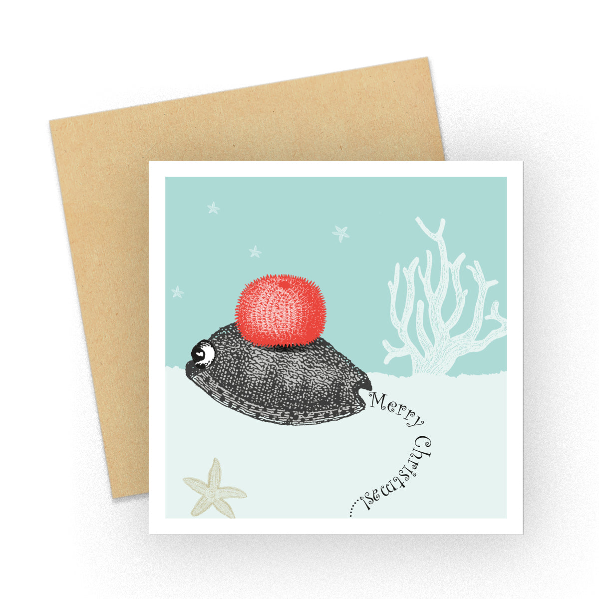 Dressed up for Christmas Snail